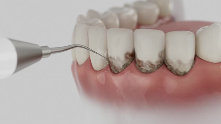 Reliable Dental contractor in Hall County County, TX by Dentist Open Now